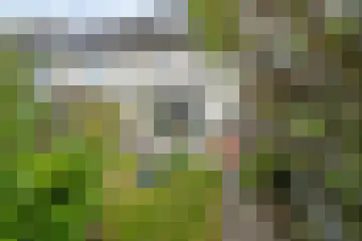 Esterelstraat 2 Tilburg thumbnail 37