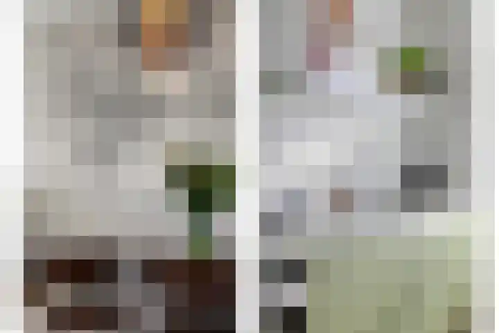 Esterelstraat 23 Tilburg thumbnail 8