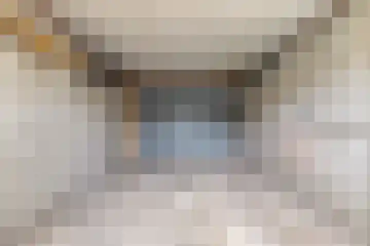Estersveldlaan 11 Grave thumbnail 19