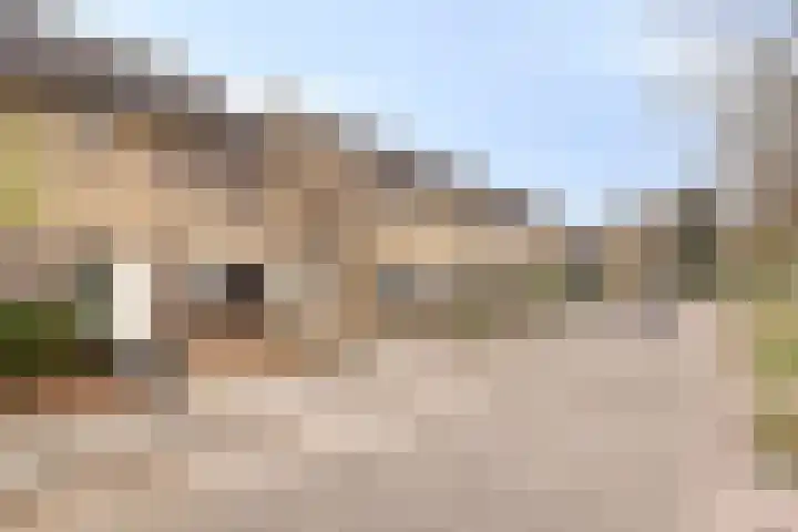 Estersveldlaan 11 Grave thumbnail 23