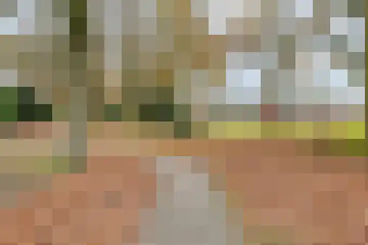 Estersveldlaan 11 Grave thumbnail 25