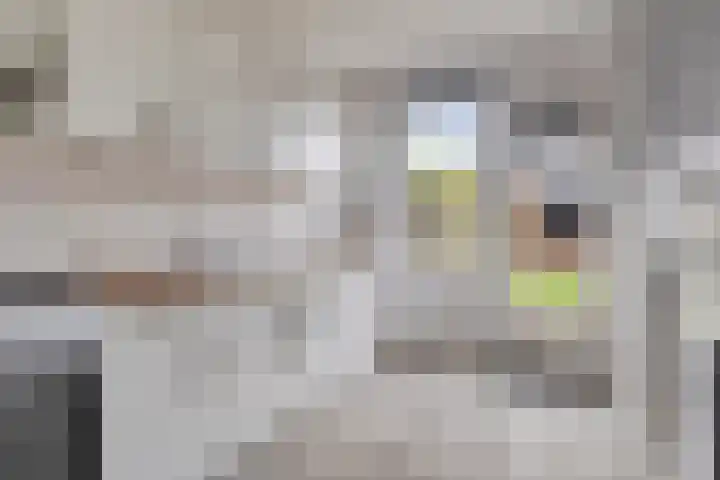 Estersveldlaan 11 Grave foto 3