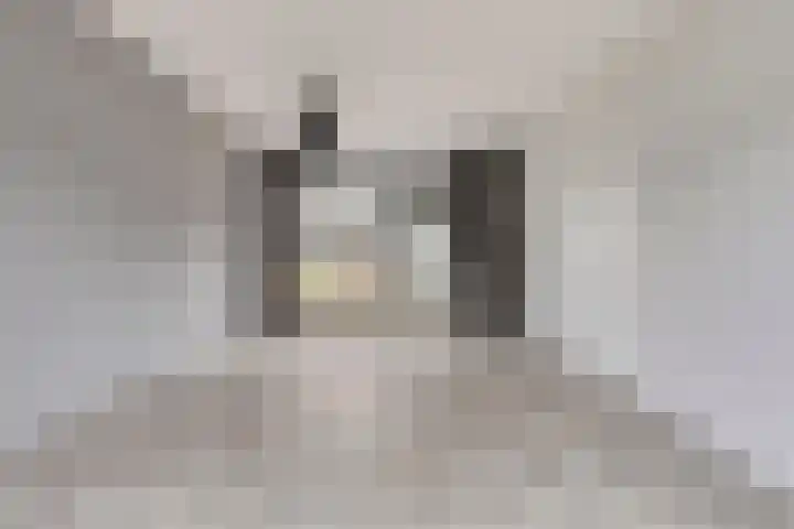 Estersveldlaan 11 Grave thumbnail 5