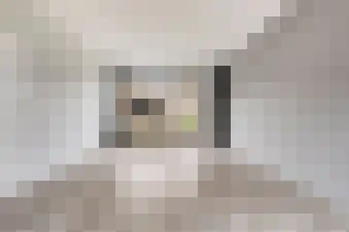 Estersveldlaan 11 Grave thumbnail 7