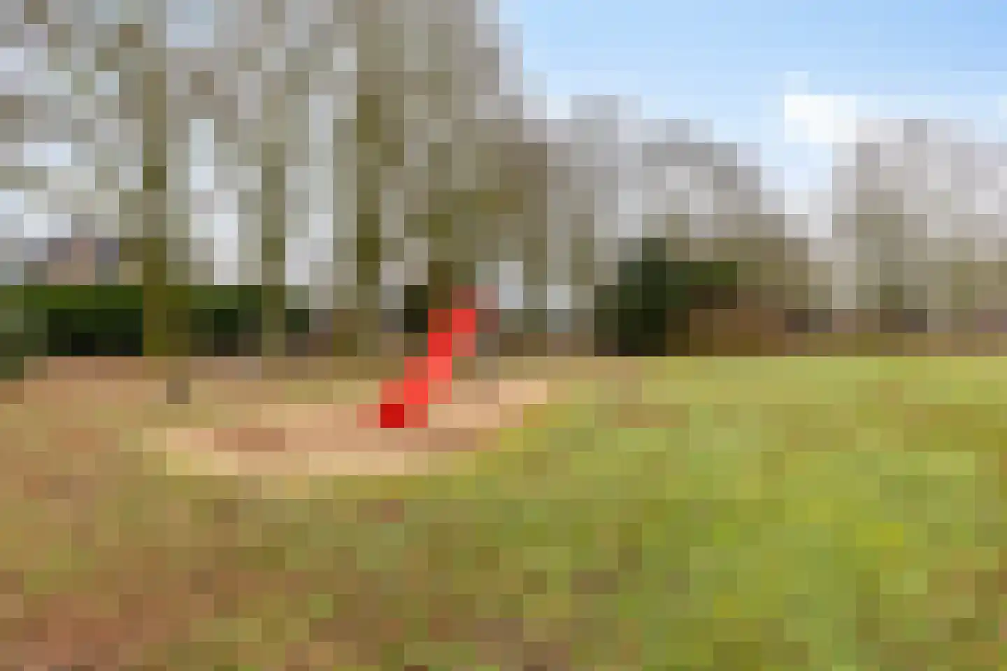 Estersveldlaan 13 Grave thumbnail 26