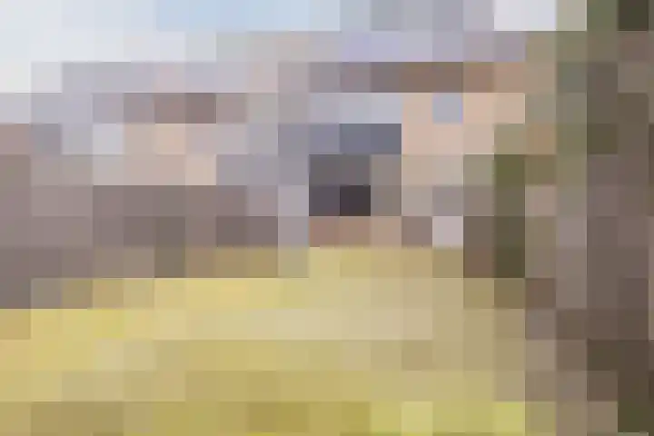 Estersveldlaan 59 Grave thumbnail 21