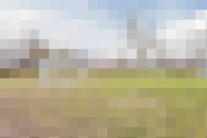 Estersveldlaan 59 Grave thumbnail 23