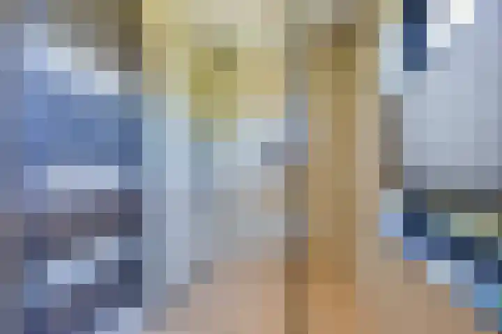 Esther de Boer-Van Rijklaan 8 Bussum thumbnail 17