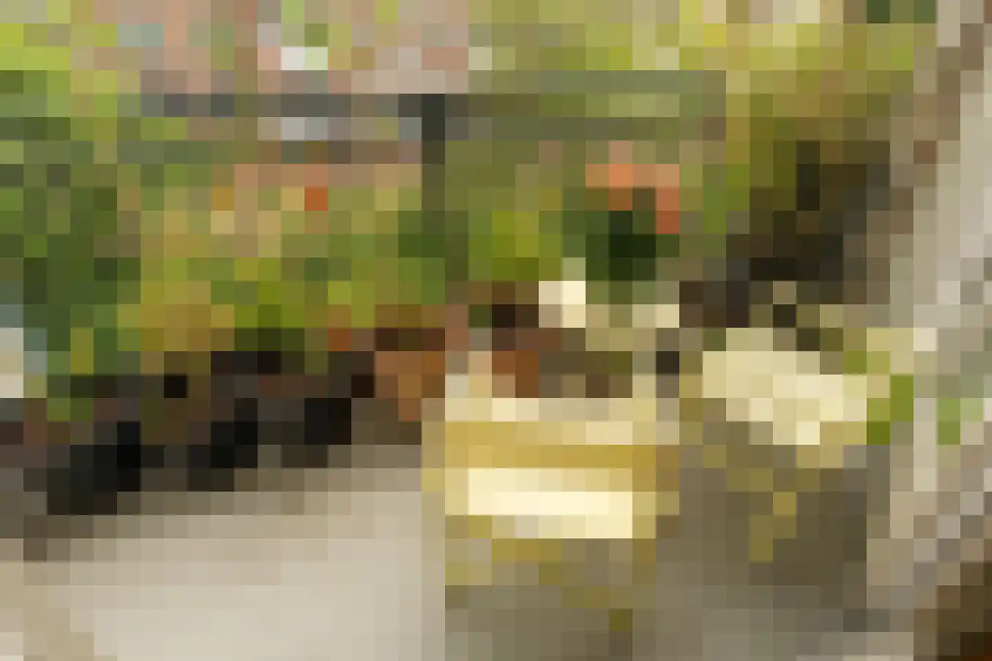 Esther de Boer-van Rijkstraat 102 2 Amsterdam thumbnail 18