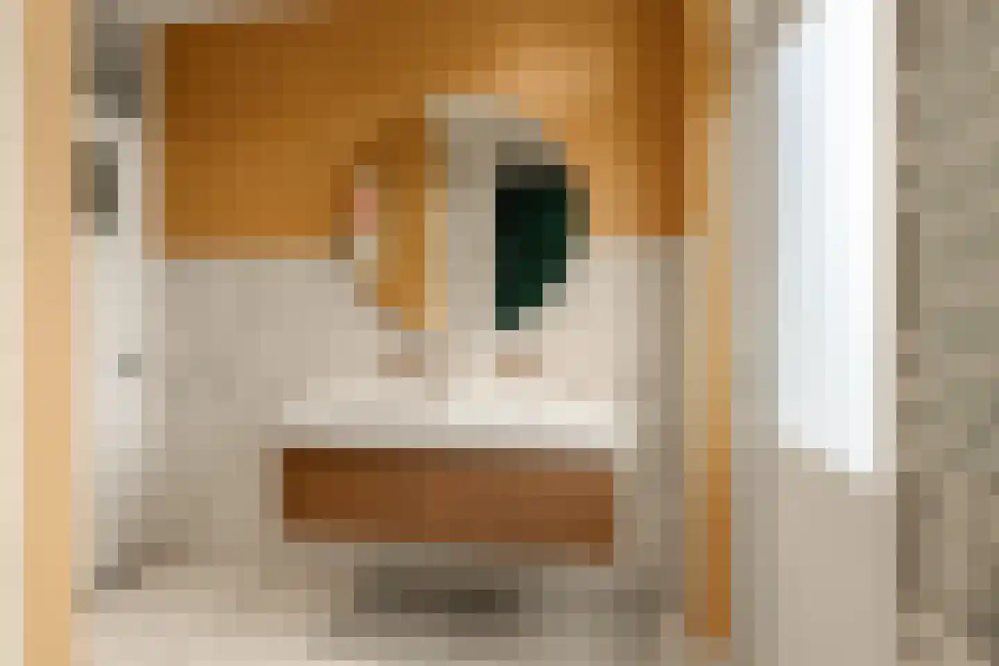 Esther de Boer-van Rijkstraat 102 2 Amsterdam thumbnail 22