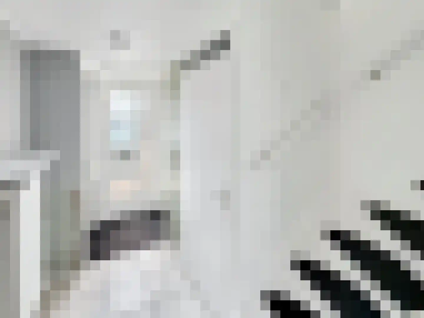 Esther de Boer-van Rijkstraat 19 Zaandam thumbnail 11