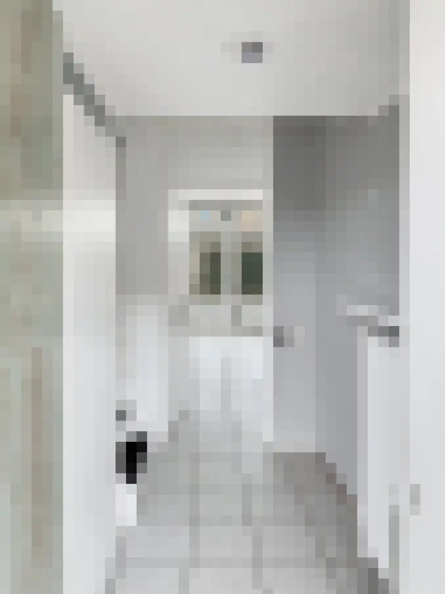Esther de Boer-van Rijkstraat 19 Zaandam thumbnail 7