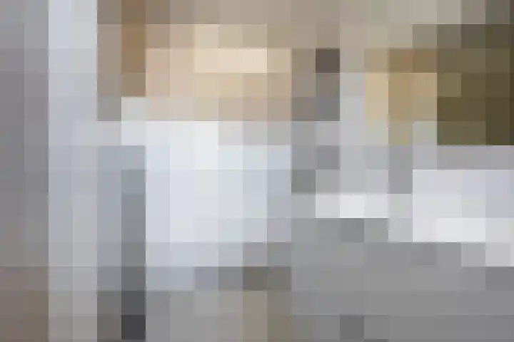 Esther de Boer-van Rijkstraat 23 Zaandam thumbnail 29