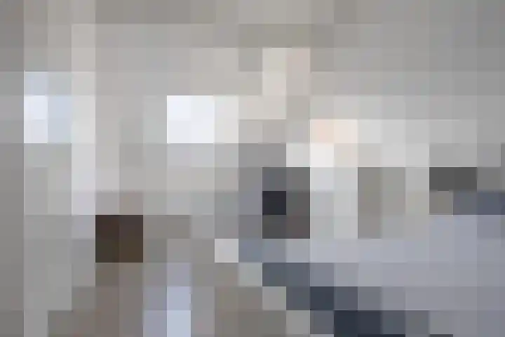 Esther de Boer-van Rijkstraat 23 Zaandam thumbnail 32