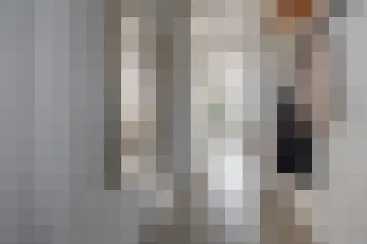 Esther de Boer-van Rijkstraat 23 Zaandam thumbnail 8