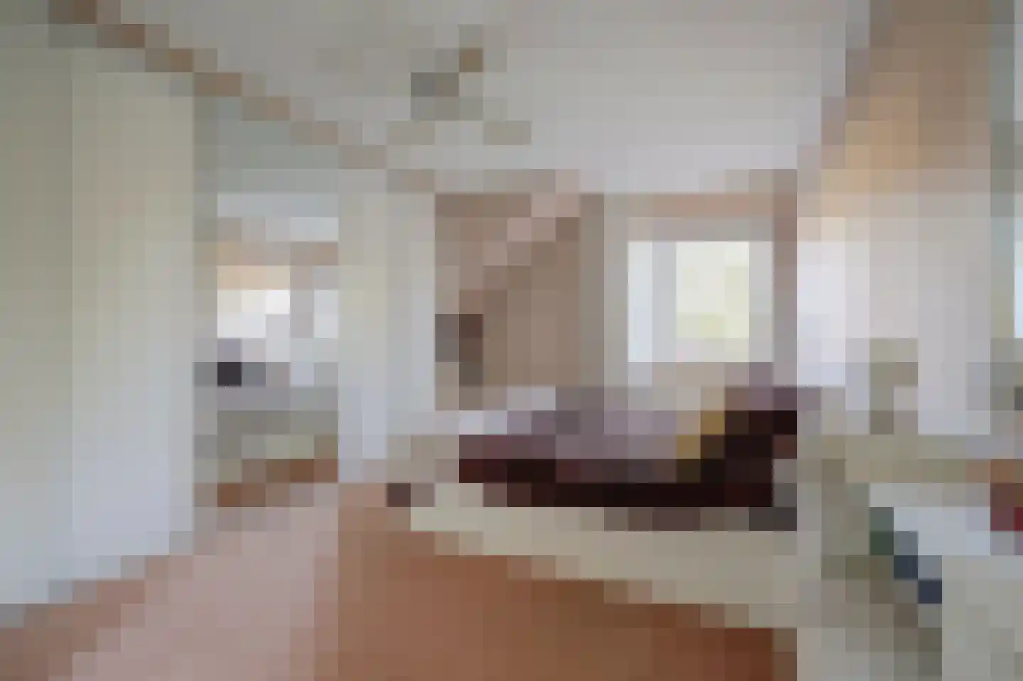 Esther de Boer-van Rijkstraat 9 Spijkenisse thumbnail 11