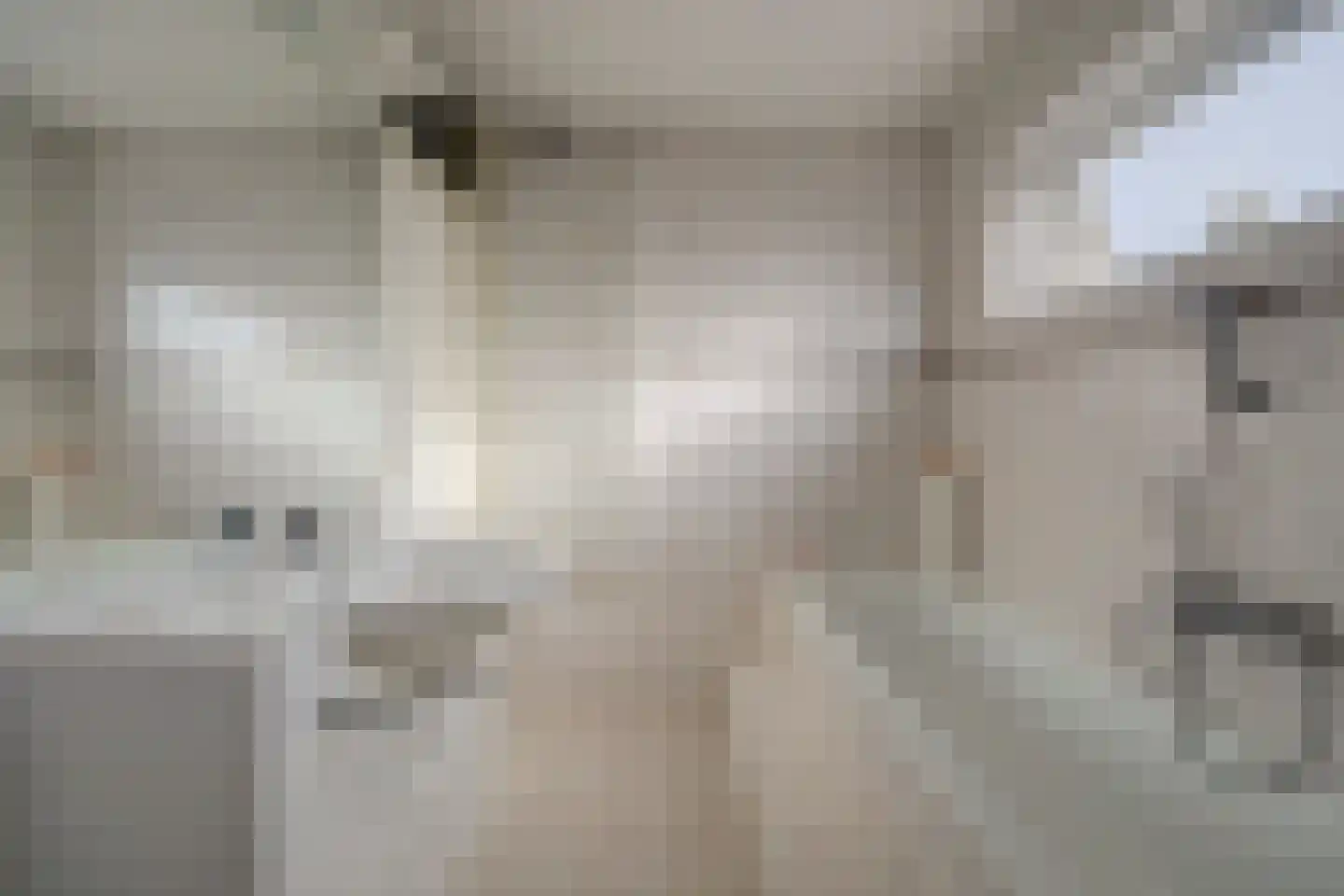 Esther de Boer-van Rijkstraat 9 Spijkenisse thumbnail 13