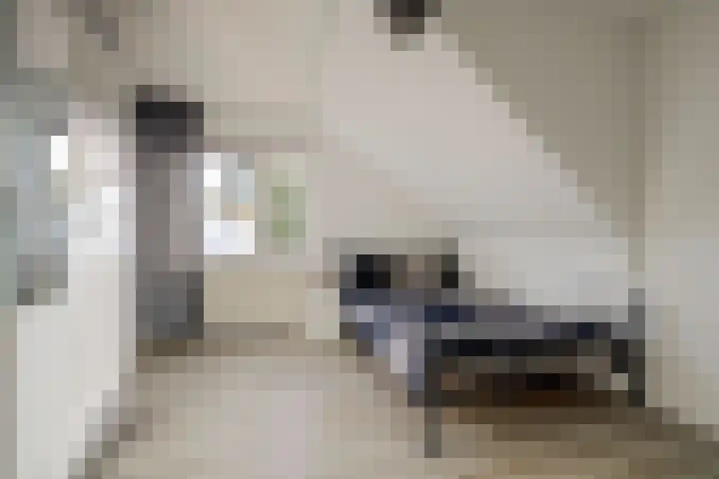 Esther de Boer-van Rijkstraat 9 Spijkenisse thumbnail 18