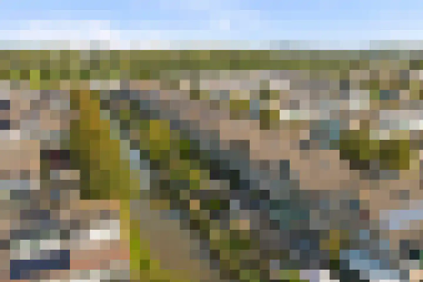 Esther de Boer-van Rijkstraat 9 Spijkenisse thumbnail 31