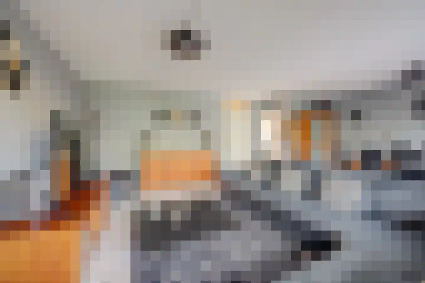 Esther de Boer-van Rijkstraat 9 Spijkenisse thumbnail 6
