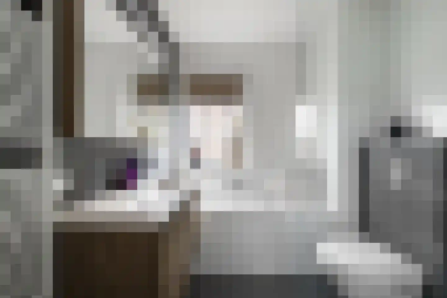 Esther Vergeerstraat 2 Schiedam thumbnail 23