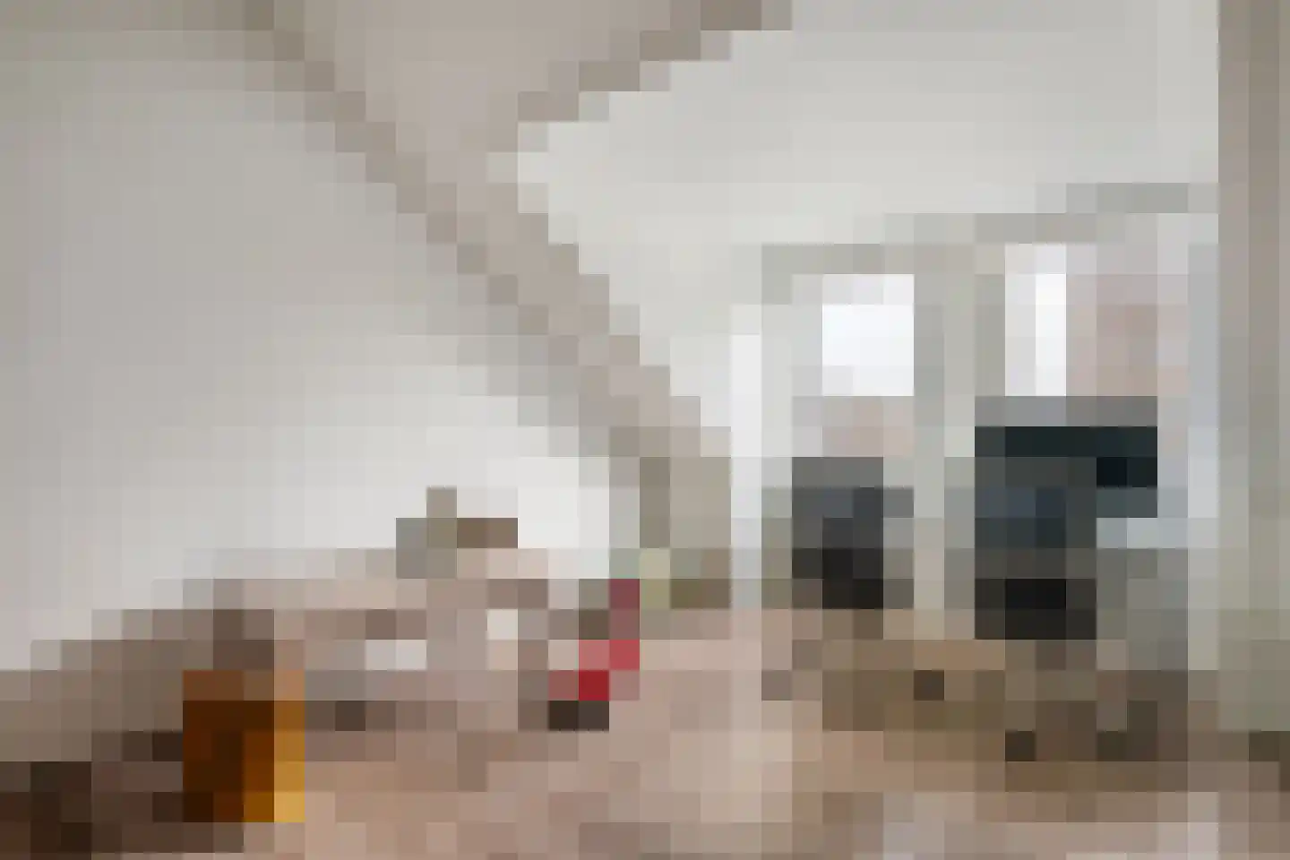 Esther Vergeerstraat 2 Schiedam thumbnail 25