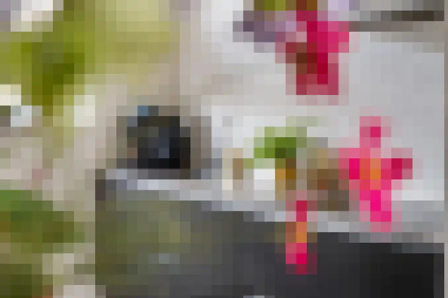 Esther Vergeerstraat 2 Schiedam thumbnail 9