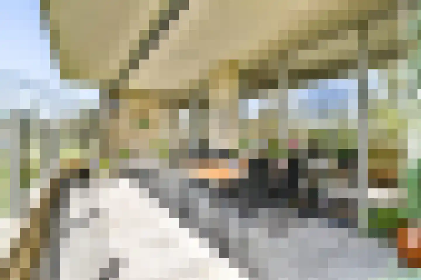 Esther Vergeerstraat 77 Schiedam thumbnail 15