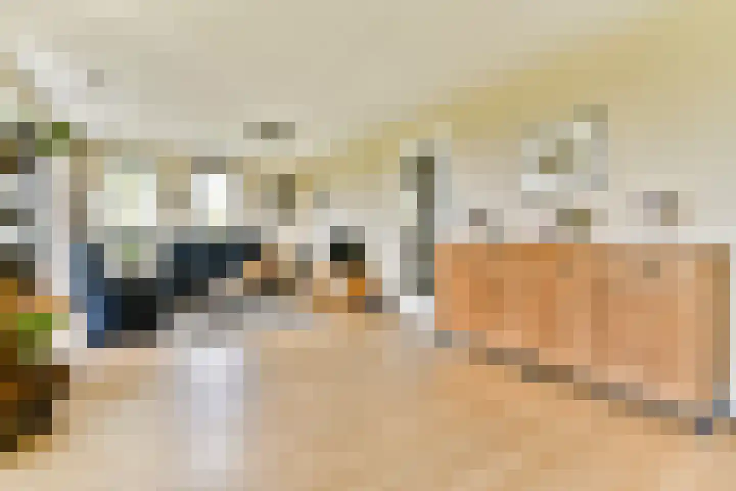 Esther Vergeerstraat 77 Schiedam thumbnail 7