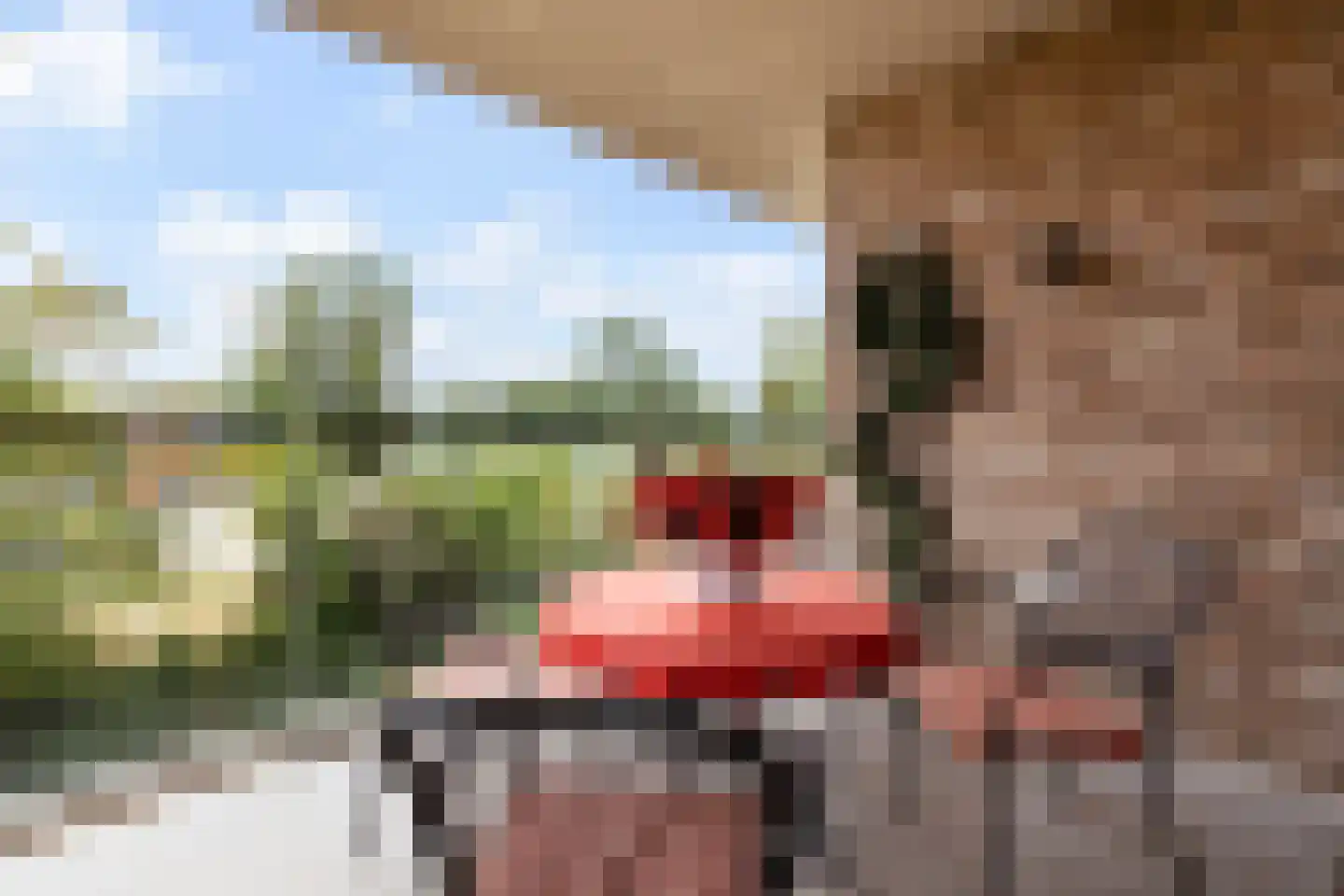 Esther Vergeerstraat 89 Schiedam thumbnail 11