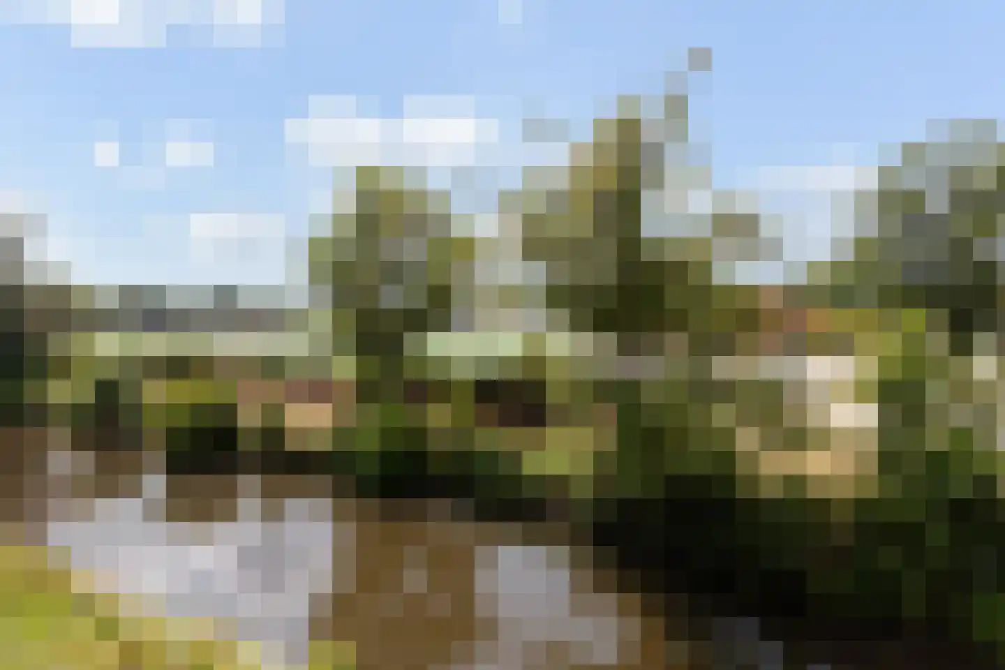 Esther Vergeerstraat 89 Schiedam thumbnail 32