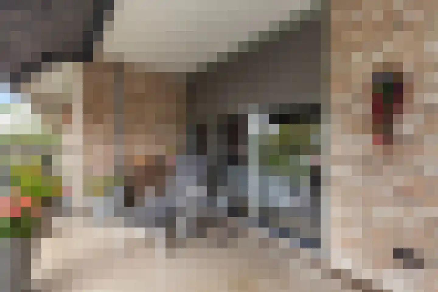 Esther Vergeerstraat 93 Schiedam thumbnail 17