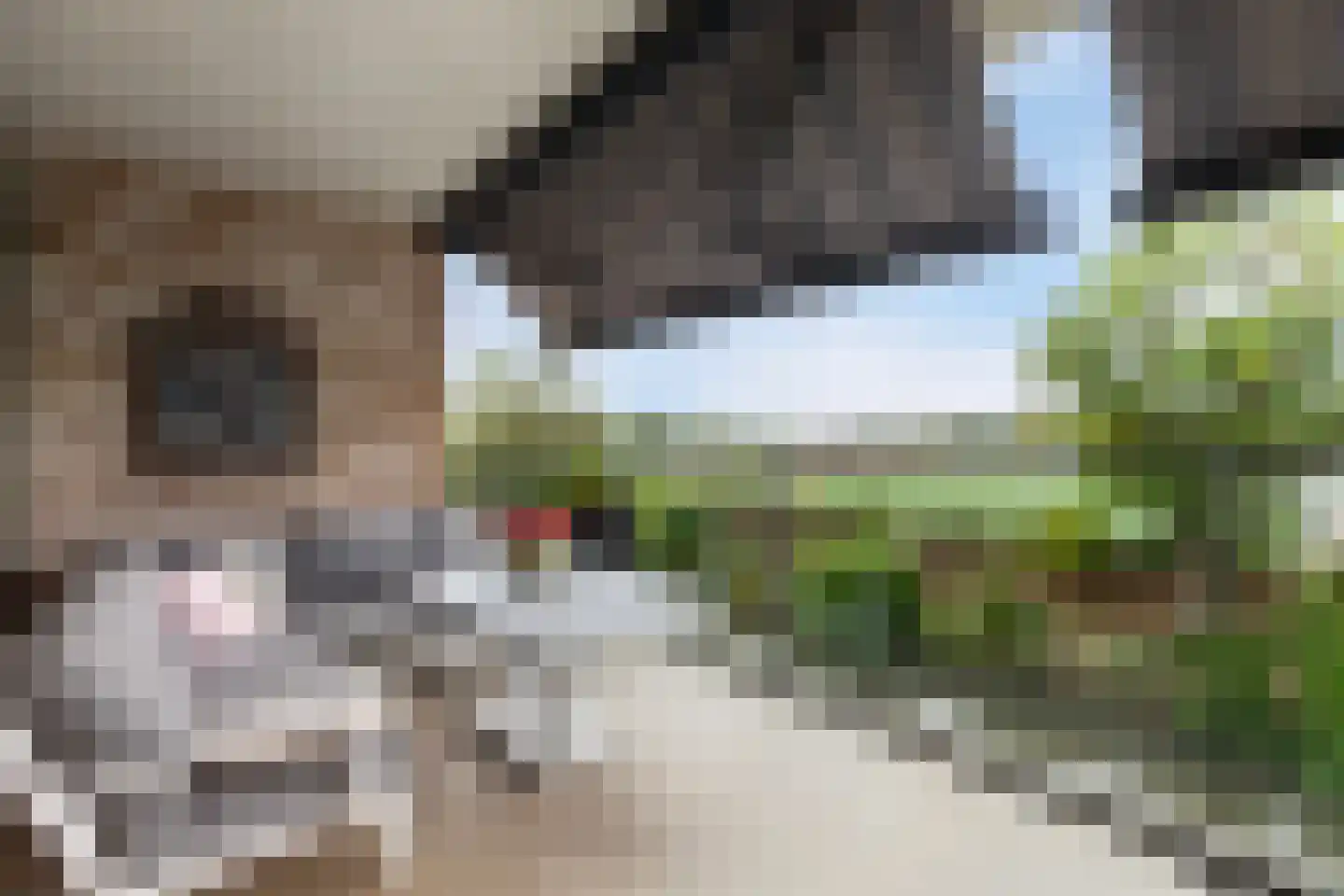 Esther Vergeerstraat 93 Schiedam thumbnail 19