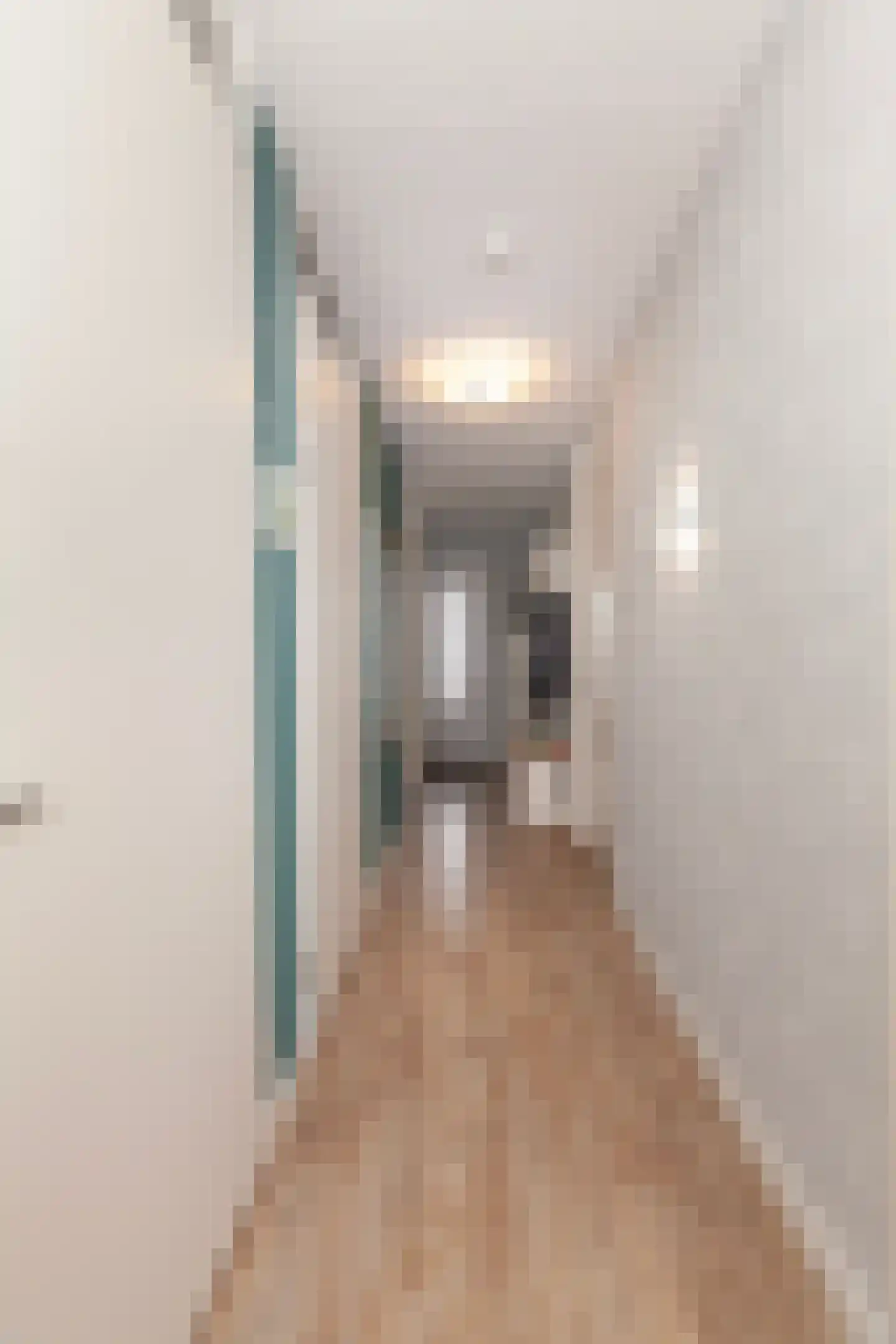 Esther Vergeerstraat 93 Schiedam thumbnail 7
