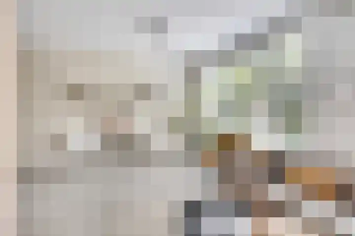 Estherdal 9 Valkenswaard thumbnail 10