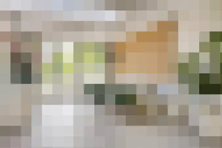 Estherdal 9 Valkenswaard thumbnail 12