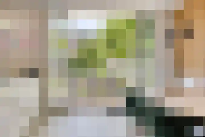 Estherdal 9 Valkenswaard thumbnail 16
