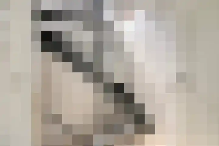 Estherdal 9 Valkenswaard thumbnail 19