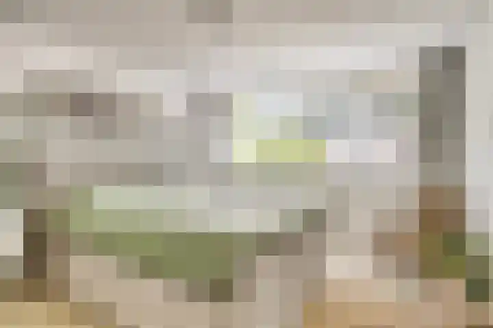 Estherdal 9 Valkenswaard thumbnail 20