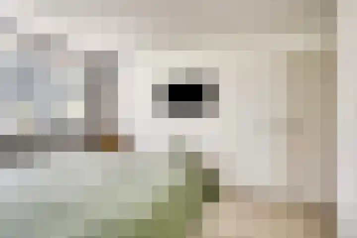 Estherdal 9 Valkenswaard thumbnail 21