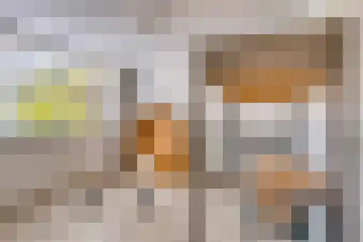 Estherdal 9 Valkenswaard thumbnail 26