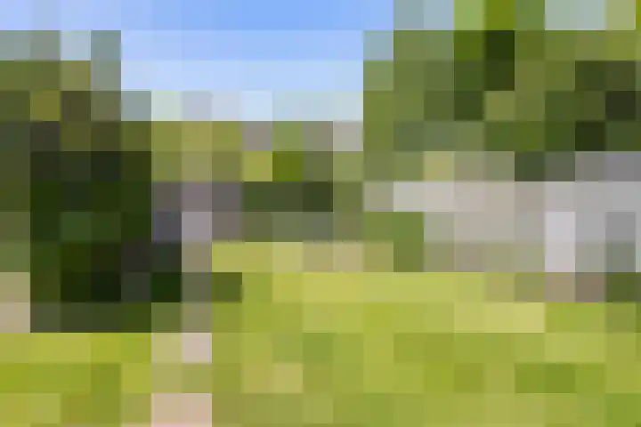 Estherdal 9 Valkenswaard thumbnail 30