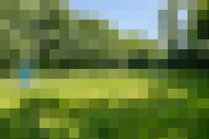Estherdal 9 Valkenswaard thumbnail 35