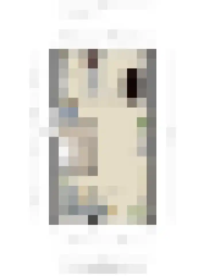 Estherdal 9 Valkenswaard thumbnail 36