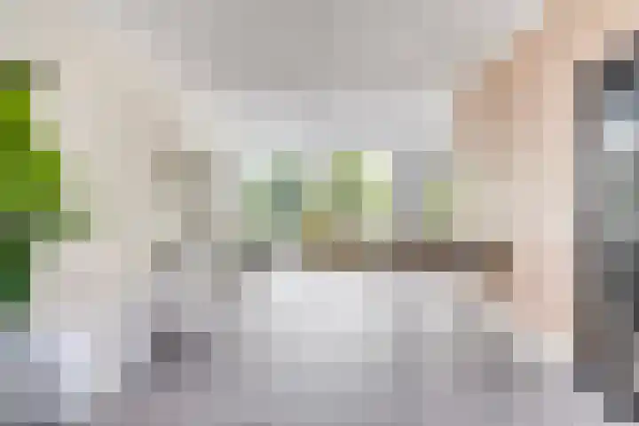 Estherdal 9 Valkenswaard thumbnail 8