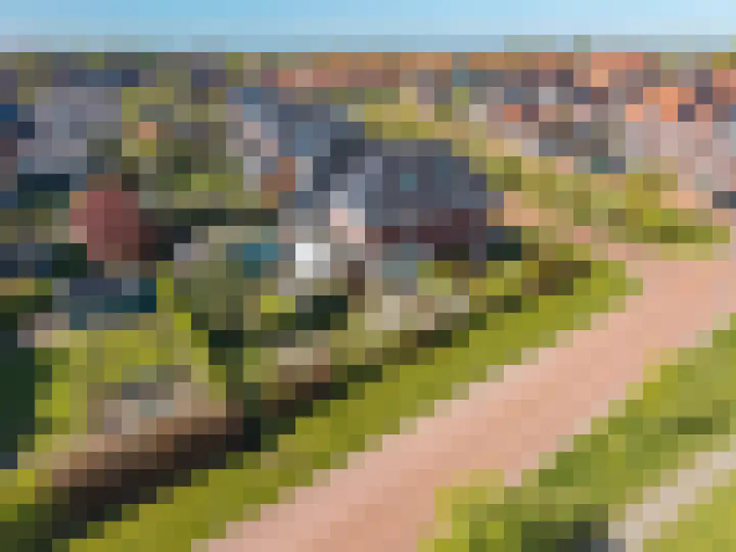 Estrik 16 Leeuwarden thumbnail 14