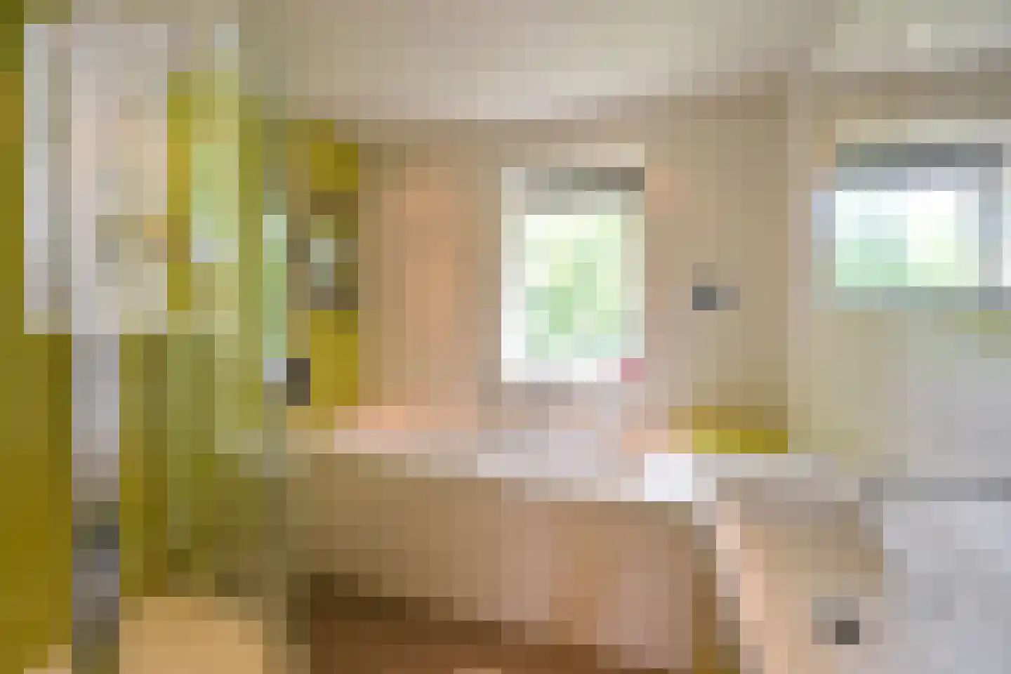 Estrikweg 1 Huizen thumbnail 11
