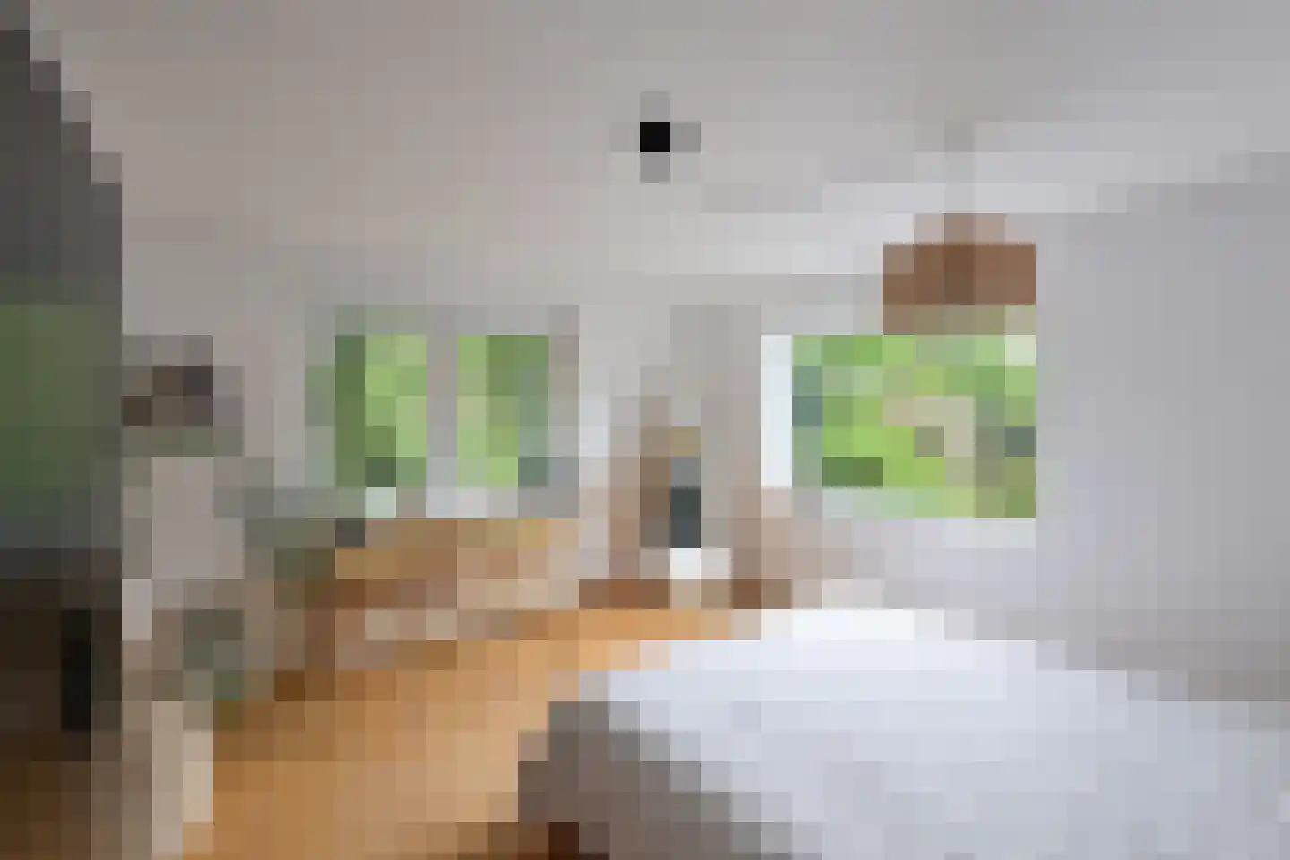 Estrikweg 1 Huizen thumbnail 15