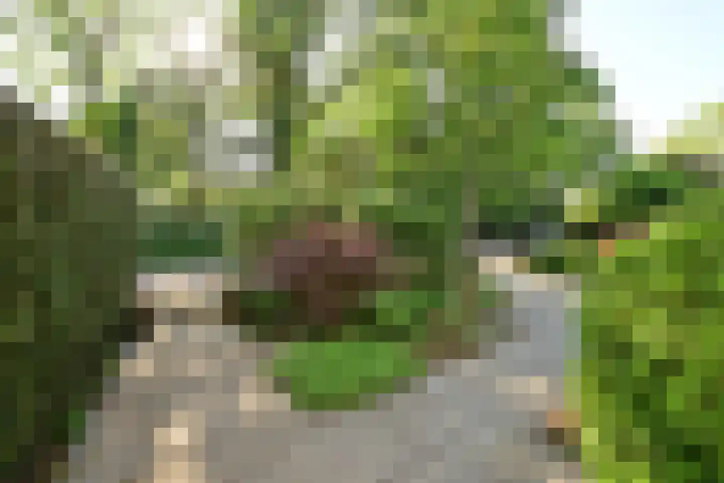 Estrikweg 1 Huizen thumbnail 25