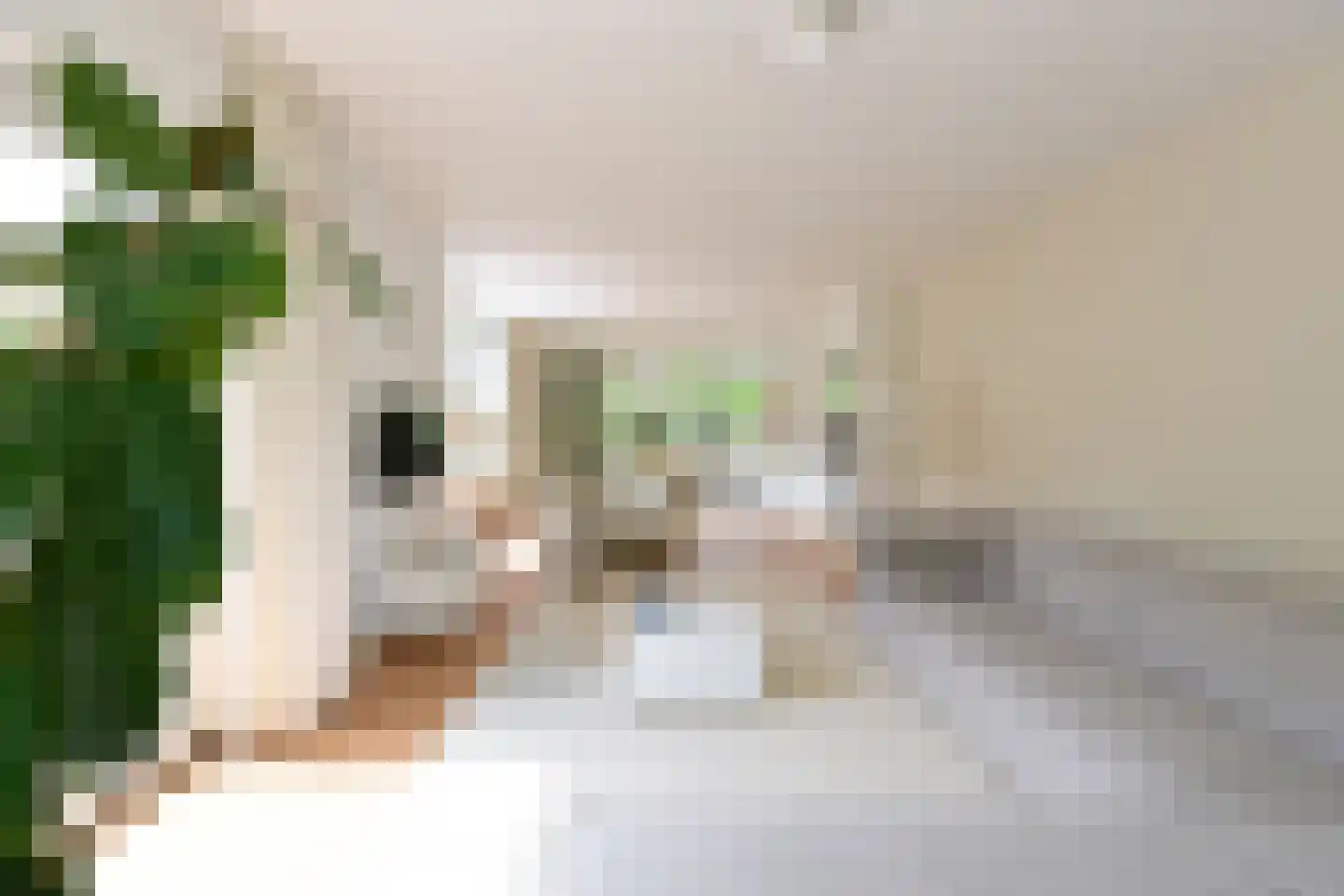 Estrikweg 1 Huizen thumbnail 4